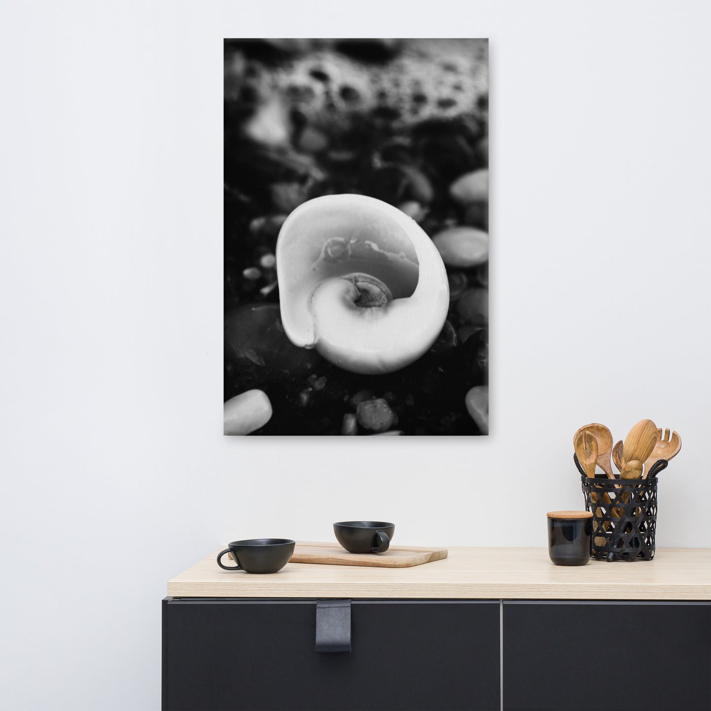 Glowing Beach Shell Black and White Coastal Nature Canvas Wall Art Prints