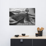 Frost Covered Leaf Black and White Floral Nature Canvas Wall Art Prints