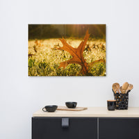 Fall Leaf in Morning Sun Botanical Nature Canvas Wall Art Prints
