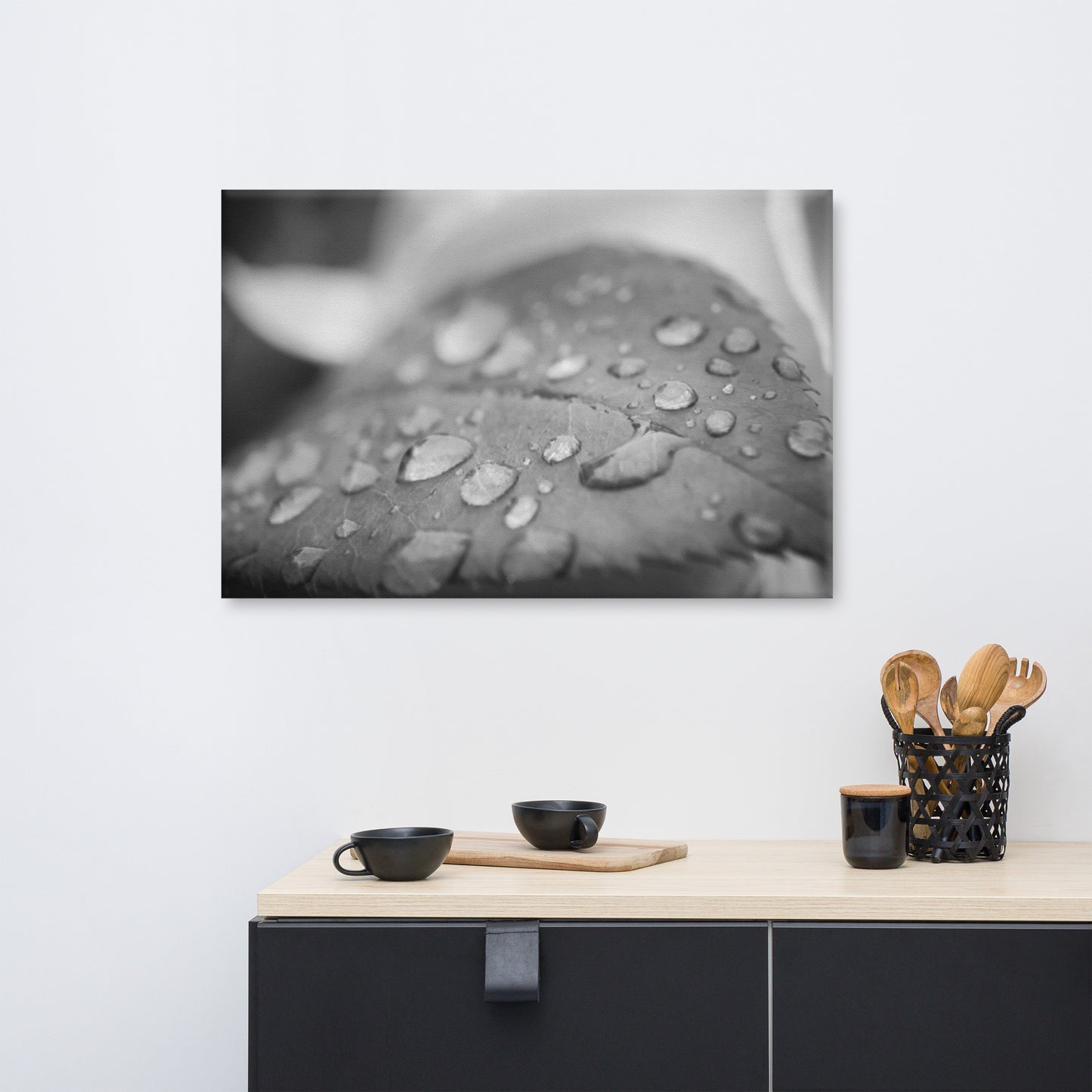 Dew on Leaf of Rose Plant Black and White Floral Nature Canvas Wall Art Prints