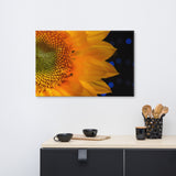 Close-up Sunflower Floral Nature Canvas Wall Art Prints