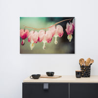 Be Still My Bleeding Heart Colorized Floral Nature Canvas Wall Art Prints