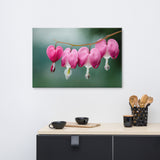 Be Still My Bleeding Heart Floral Nature Canvas Wall Art Prints