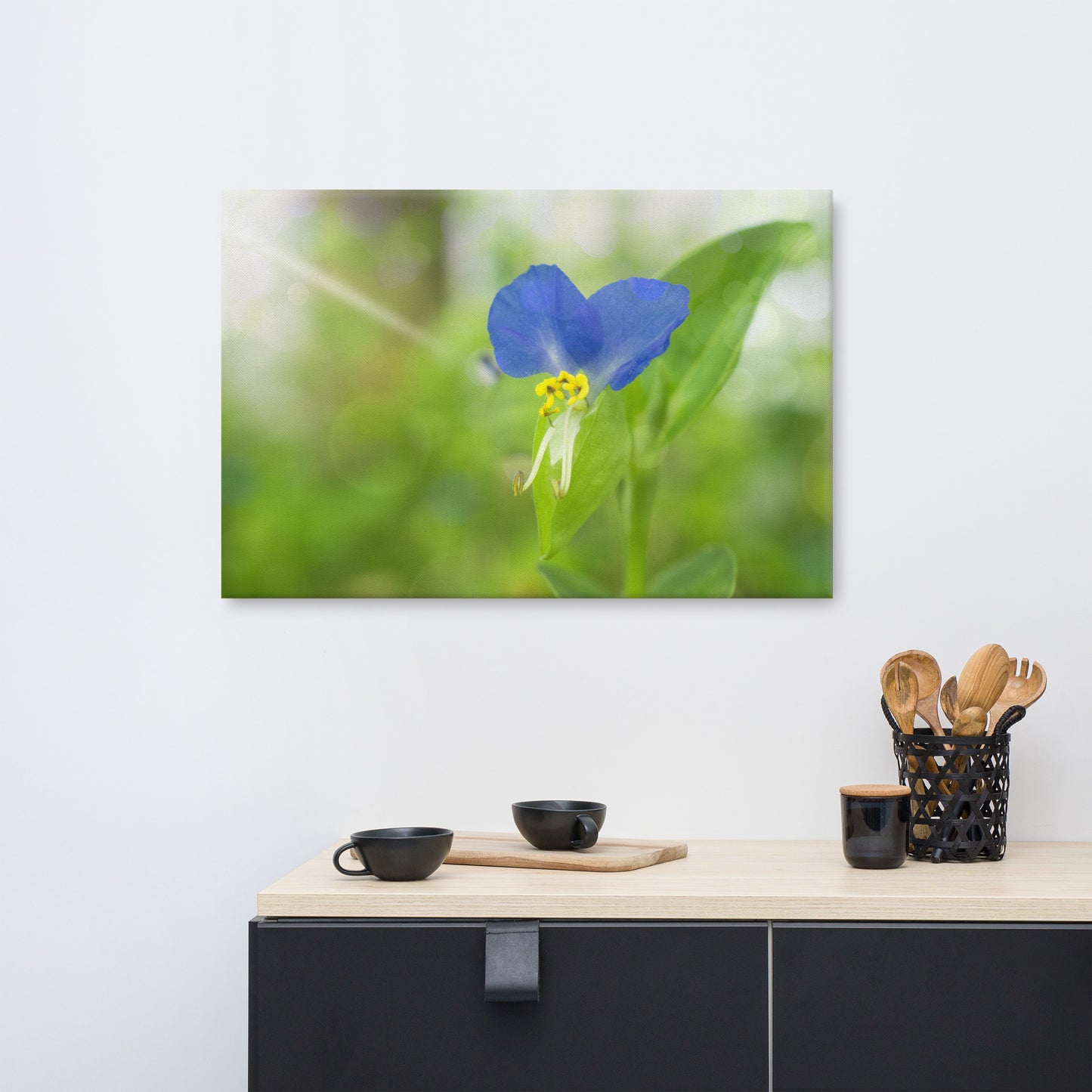 Dark Blue Wall Kitchen: Little Purple and White Flower Bloom - Botanical / Floral / Flora / Flowers / Nature Photograph Canvas Wall Art Print - Artwork