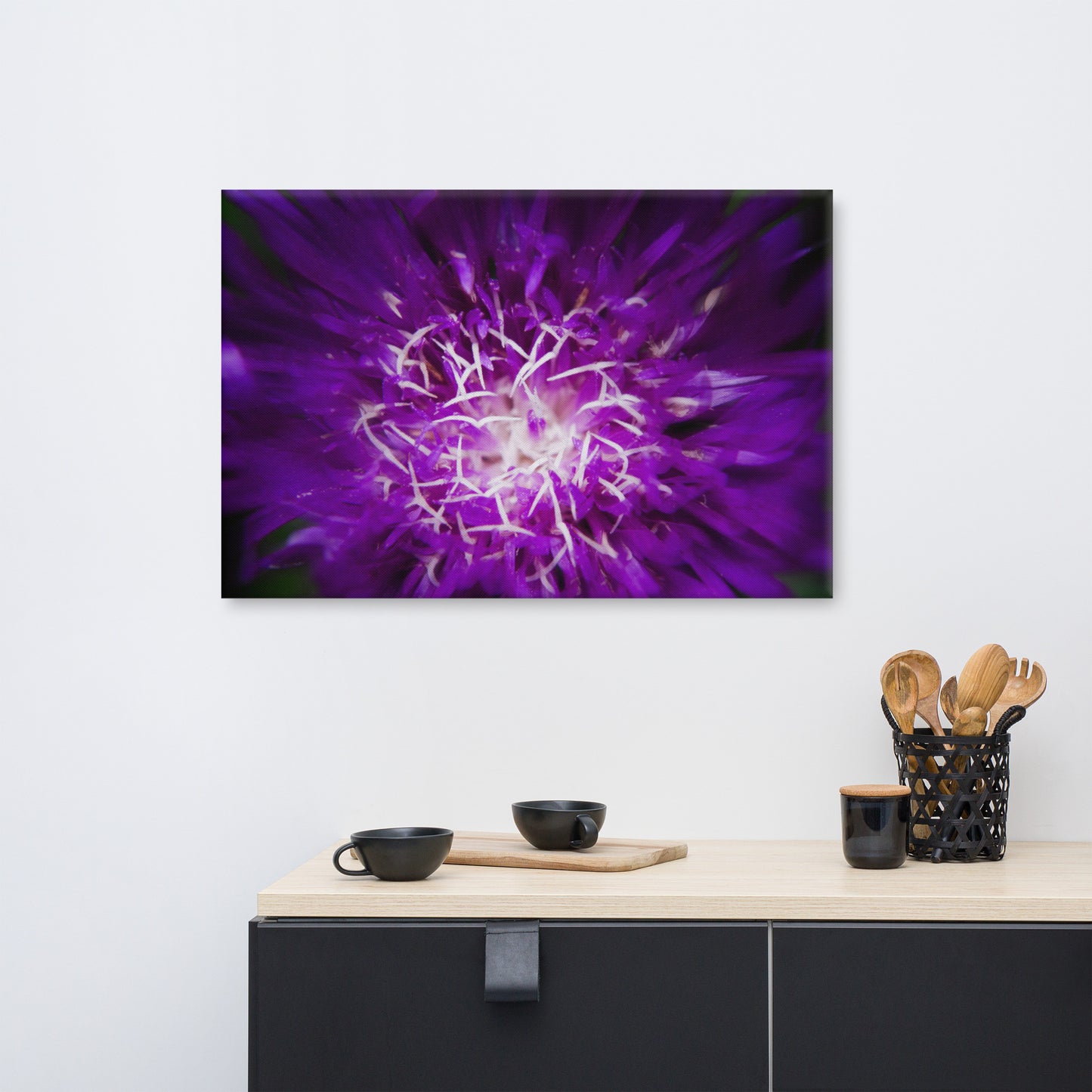 Dining Room Canvas Art Ideas: Dark Purple and White Aster Bloom Close-up Botanical / Floral / Flora / Flowers / Nature Photograph Canvas Wall Art Print - Artwork