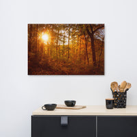 Autumn Sunset Rural Landscape Canvas Wall Art Prints