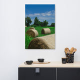 Hay Whatcha Doin' in the Field Rural Landscape Canvas Wall Art Prints