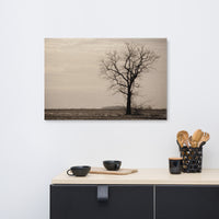 Lonely Tree Abstract Black and White Rural Landscape Canvas Wall Art Prints