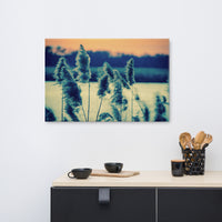 Sunset on the Marsh 2 Coastal Landscape Canvas Wall Art Prints
