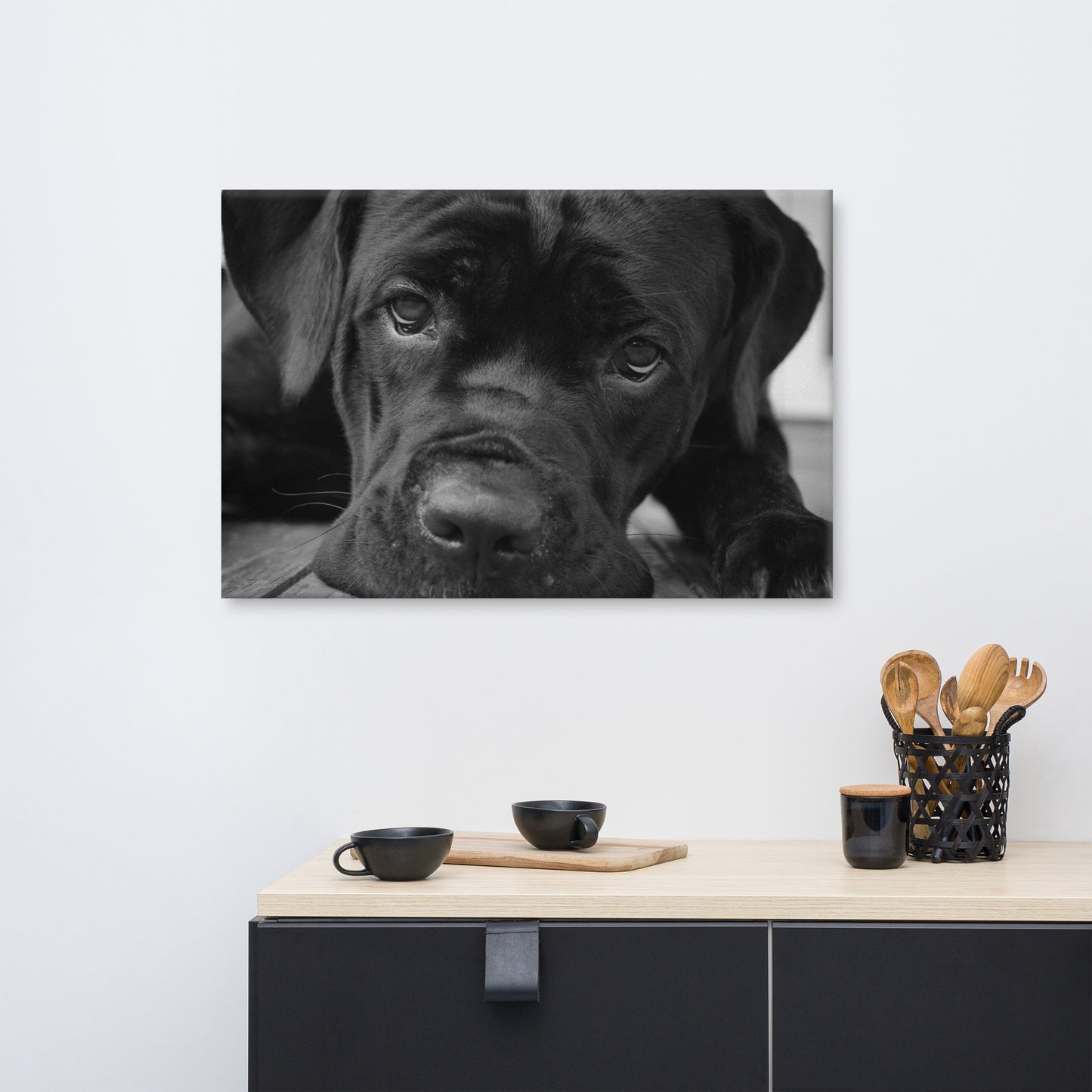 Cane Corso on Porch Animal / Dog Black & White Canvas Wall Art Prints