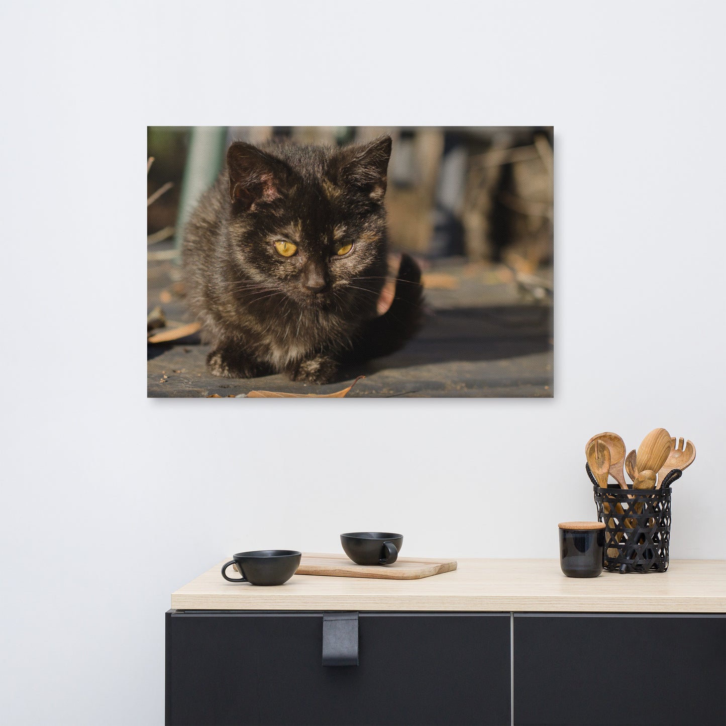 Chocolate the Stray Kitten Animal / Wildlife - Cat Photograph Canvas Wall Art Prints