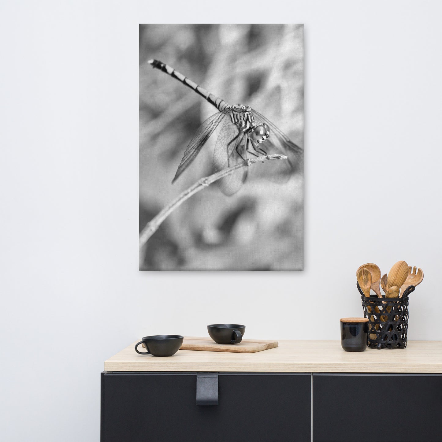 Dragonfly in Black and White Animal / Wildlife Photograph Canvas Wall Art Prints