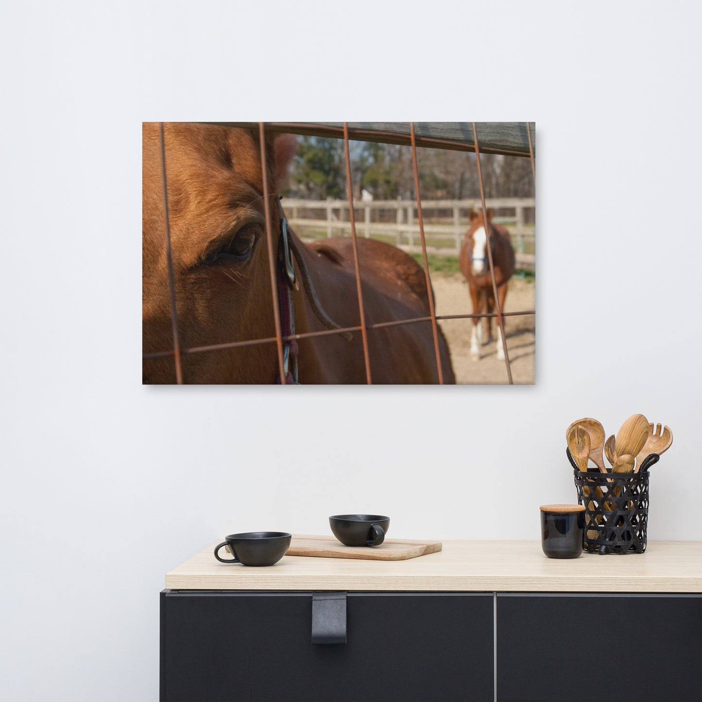 Fenced In Animal / Horse Photograph Canvas Wall Art Prints