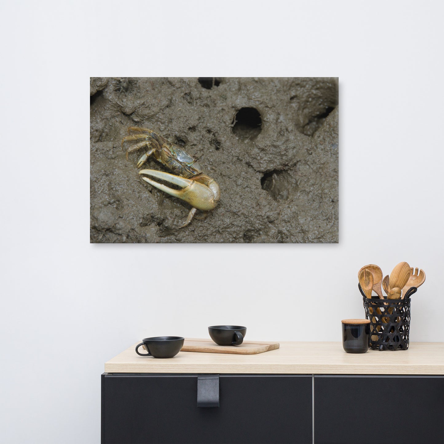 Fiddler Crab Animal / Wildlife Photograph Canvas Wall Art Prints