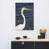 Great White Egret Animal / Wildlife Photograph Canvas Wall Art Prints