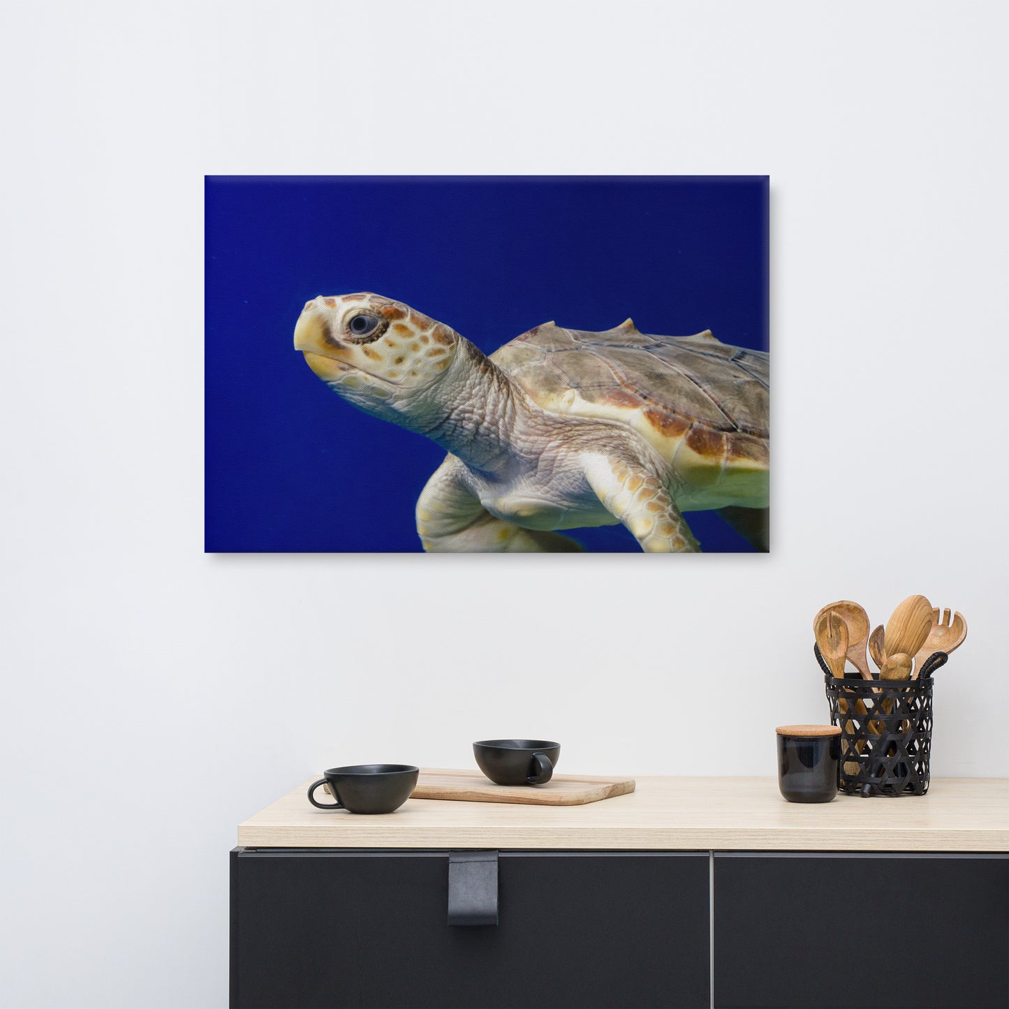 Sea Turtle 2 Animal / Wildlife Photograph Canvas Wall Art Prints