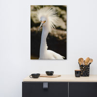 Snowy Egret Animal / Wildlife Photograph Canvas Wall Art Prints