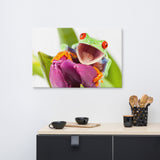 Happy Red Eyed Tree Frog Sitting on Purple Tulip Flower Bloom Wildlife Nature Photo Canvas Wall Art Print