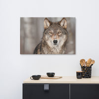 Portrait of Gray Wolf In The Forest Animal Wildlife Nature Photograph Canvas Wall Art Prints