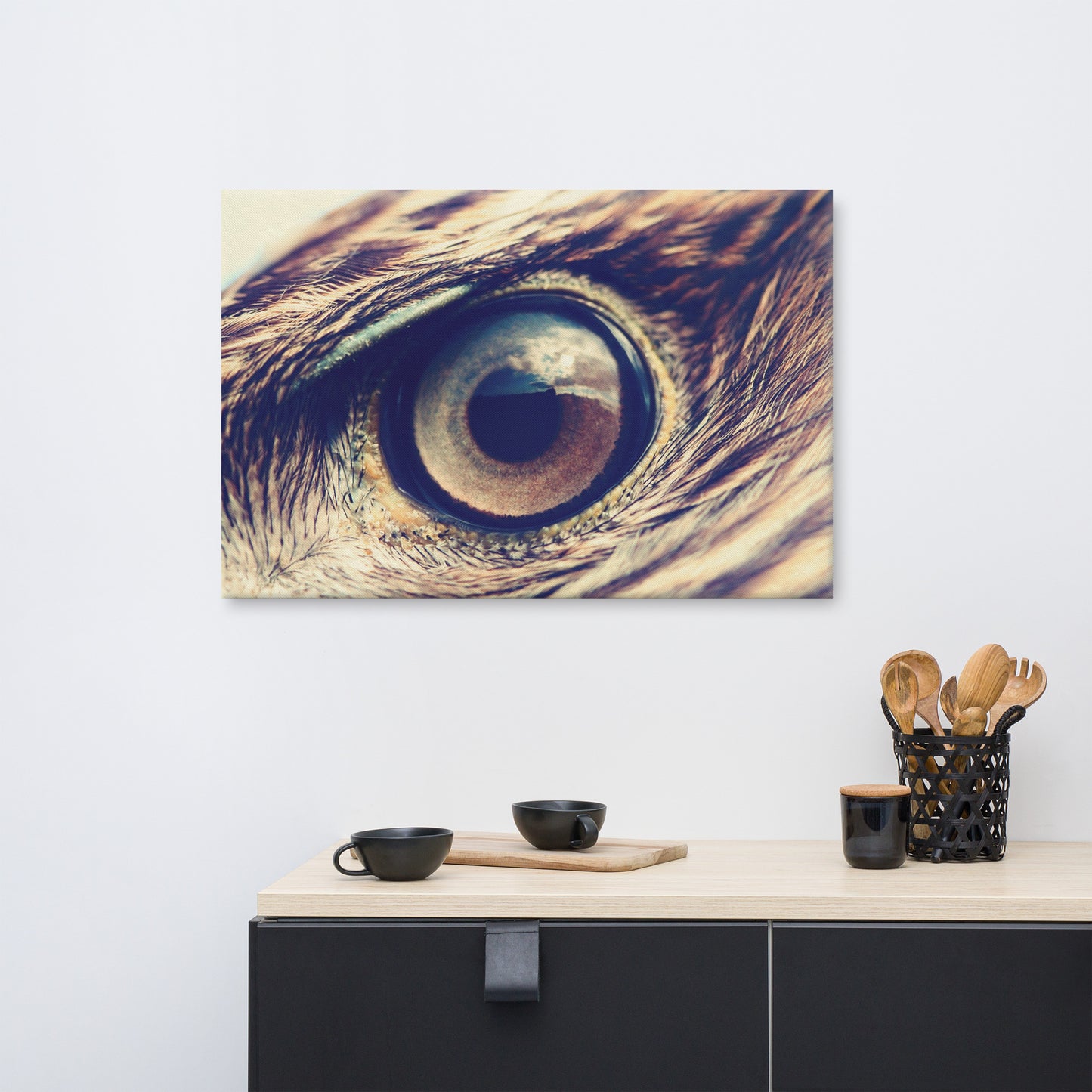 Close-up Eagle Eye Color Tone Animal Wildlife Photograph Canvas Wall Art Prints