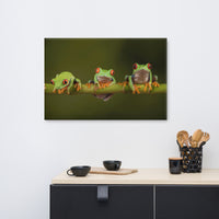 Three Tiny Green Red Eyed Tree Frog Photograph Canvas Wall Art Print