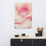 Softened Rose Floral Nature Canvas Wall Art Prints
