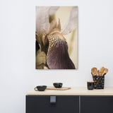 Japanese Iris Delight Aged Floral Nature Canvas Wall Art Prints