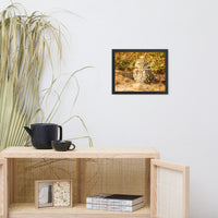 Burrowing Owl in Golden Light Wildlife Nature Photo Framed Wall Art Prints