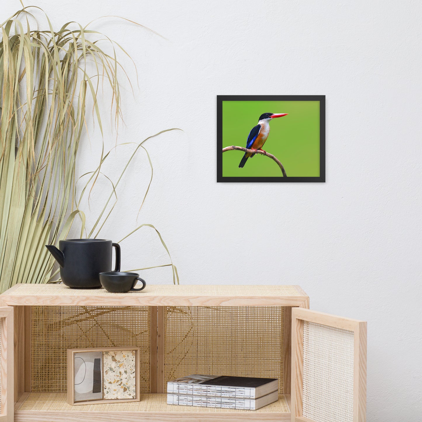 Black Capped Kingfisher Bird on Perch Animal Wildlife Photograph Framed Wall Art Prints