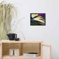 Butterfly Wings Wildlife Photo Framed Wall Art Prints