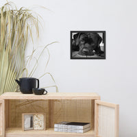 Cane Corso on Porch Animal Dog Black & White Framed Wall Art Prints