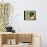 Close-up Ruby-throated Hummingbird Animal Wildlife Photograph Framed Wall Art Prints