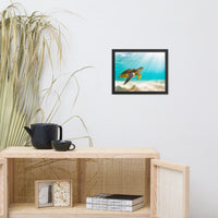 Hawaiian Green Sea Turtle In Turquoise Blue Sea and Sandbars Animal Wildlife Photograph Framed Wall Art Print