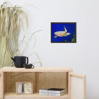 Sea Turtle 1 Animal Wildlife Photograph Framed Wall Art Prints