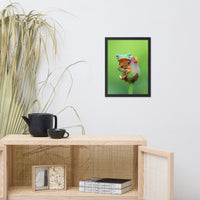Tiny Green Tree Frog on Lotus Bloom Animal Wildlife Floral Nature Photograph Framed Wall Art Prints