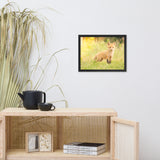 Baby Red Fox in the Sun Wildlife Photo Framed Wall Art Prints