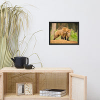 Baby Red Foxes Close to You Wildlife Photo Framed Wall Art Prints