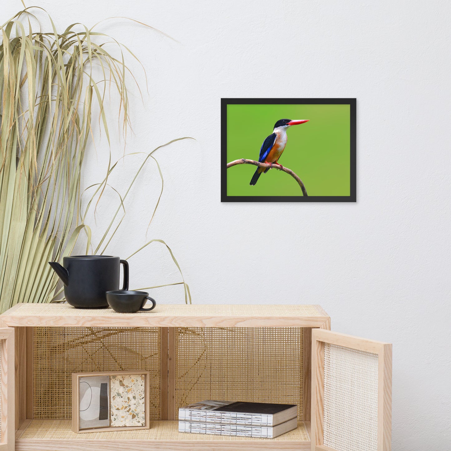 Black Capped Kingfisher Bird on Perch Animal Wildlife Photograph Framed Wall Art Prints