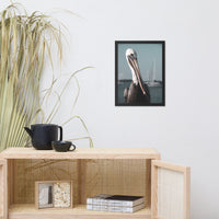 Bob The Pelican Bird 3R Colorized Wildlife Photo Framed Wall Art Prints