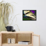 Butterfly Wings Wildlife Photo Framed Wall Art Prints