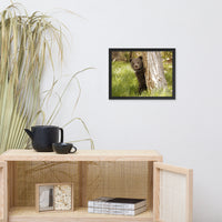 Cute Baby Grizzly Bear Cub Behind Tree In Meadow Animal Wildlife Photograph Framed Wall Art Prints