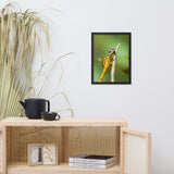 Dragonfly at Bombay Hook Animal Wildlife Photograph Framed Wall Art Prints