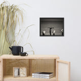 Drying Wings After Storm in Black and White Animal Wildlife Photograph Framed Wall Art Prints