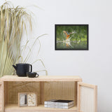 Flying Turquoise Blue and Orange Common Kingfisher Bird With Fish Animal Wildlife Photograph Framed Wall Art Prints