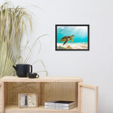 Hawaiian Green Sea Turtle In Turquoise Blue Sea and Sandbars Animal Wildlife Photograph Framed Wall Art Print