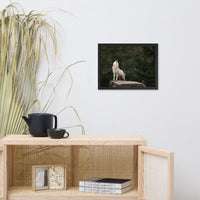 Howling White Wolf In The Forest Animal Wildlife Photograph Framed Wall Art Print