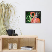 Pinky the Pink Flamingo Animal Wildlife Photograph Framed Wall Art Prints