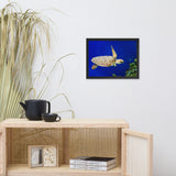 Sea Turtle 1 Animal Wildlife Photograph Framed Wall Art Prints