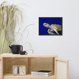 Sea Turtle 2 Animal Wildlife Photograph Framed Wall Art Prints