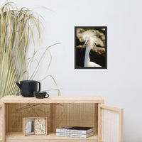 Snowy Egret Animal Wildlife Photograph Framed Wall Art Prints